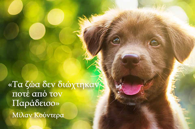 cute-dog-names2