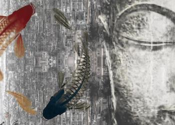 digital art exhibition
