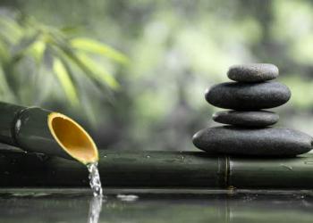 Zen Day