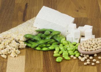 Tofu Tempeh