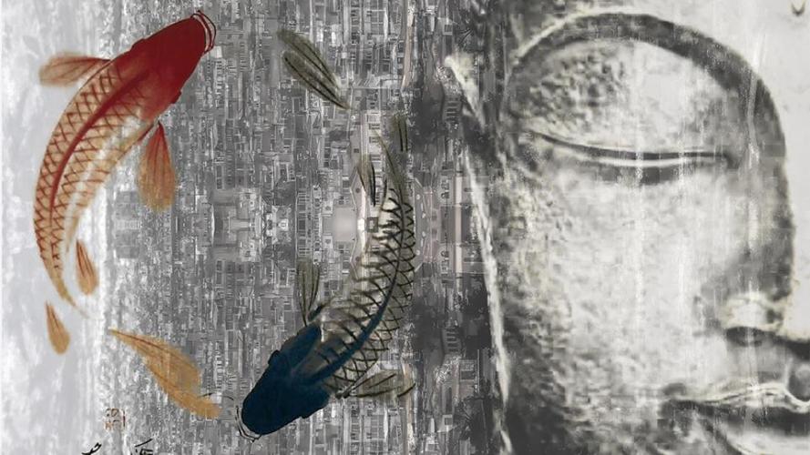 digital art exhibition