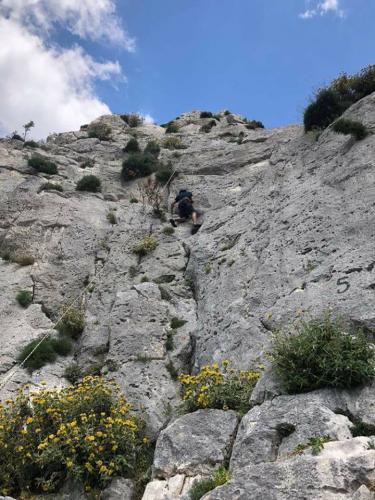 Πάρνηθα - Αναρρίχηση για αρχαρίους Εναλλακτικές Εξορμήσεις Trekking Fitness Yoga