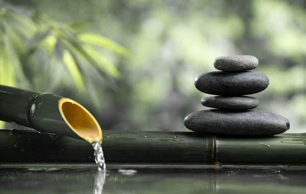 Zen Day